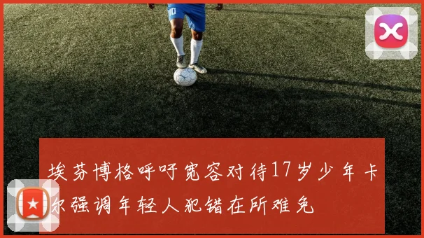 埃芬博格呼吁宽容对待17岁少年卡尔强调年轻人犯错在所难免