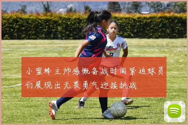 小蜜蜂主帅感慨备战时间紧迫球员们展现出无畏勇气迎接挑战
