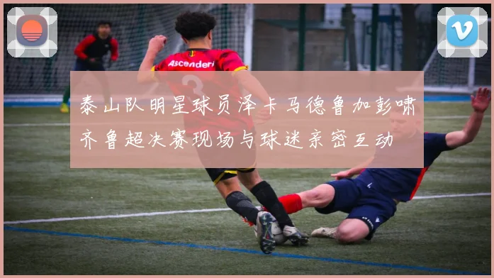 泰山队明星球员泽卡马德鲁加彭啸齐鲁超决赛现场与球迷亲密互动